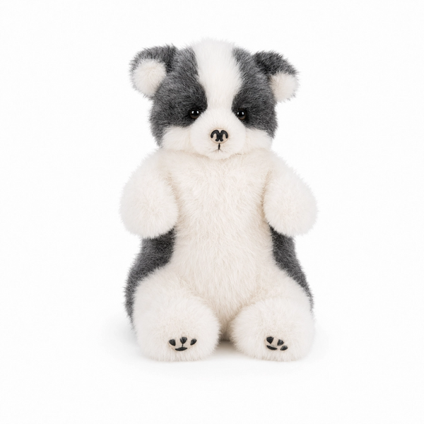 The Border Collie