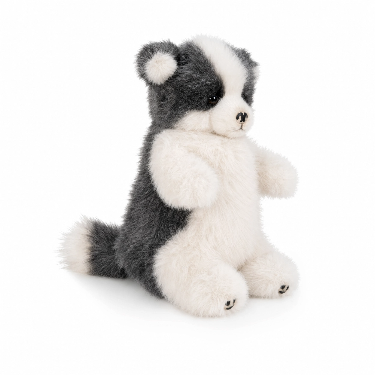 The Border Collie