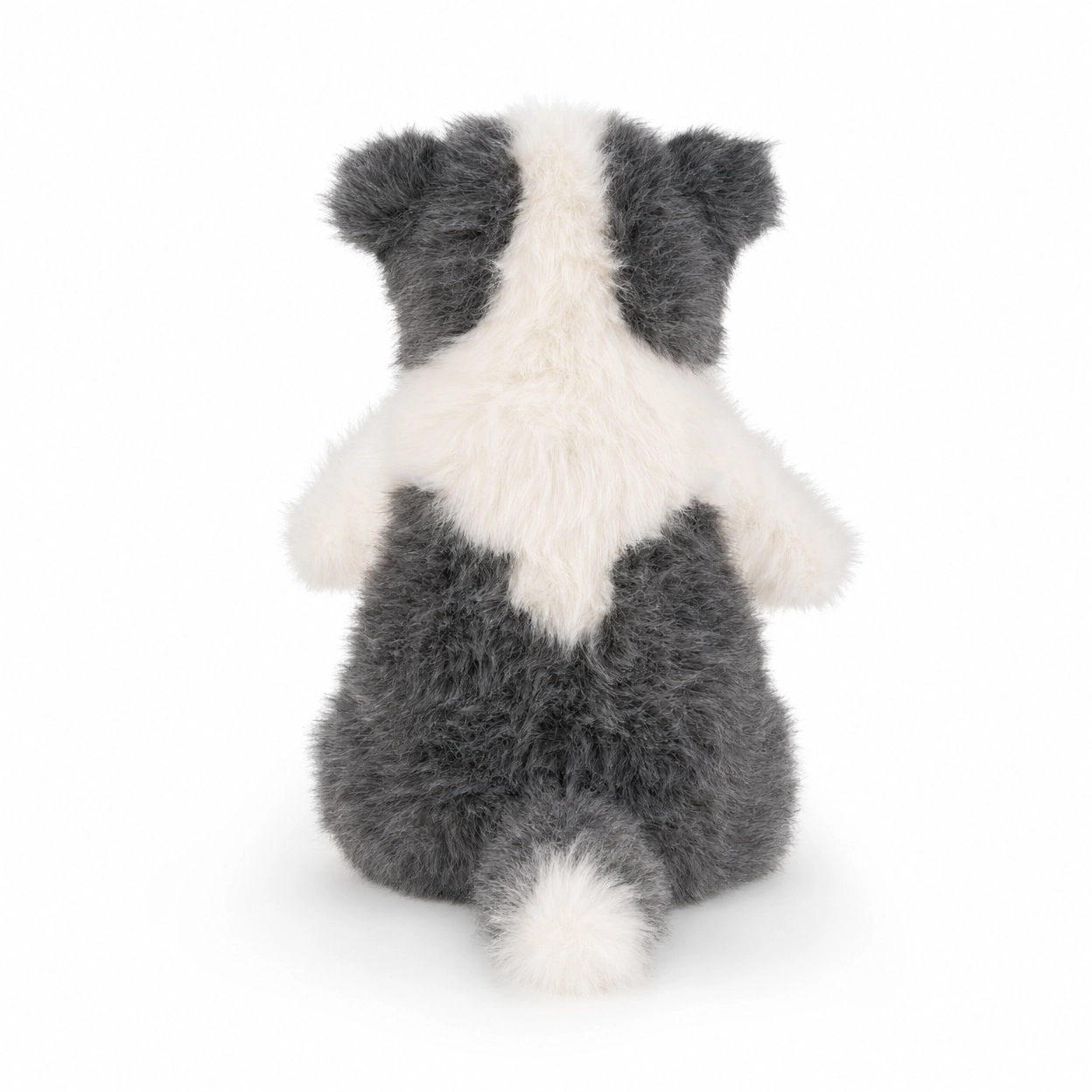 The Border Collie