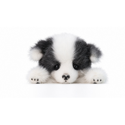 The Border Collie